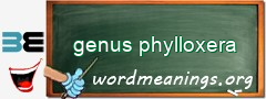 WordMeaning blackboard for genus phylloxera